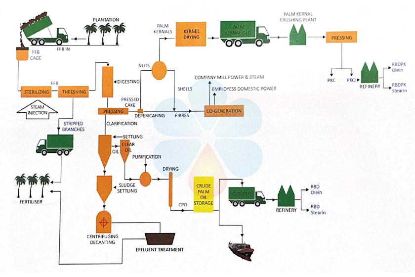 1-5TPH Palm oil processing line