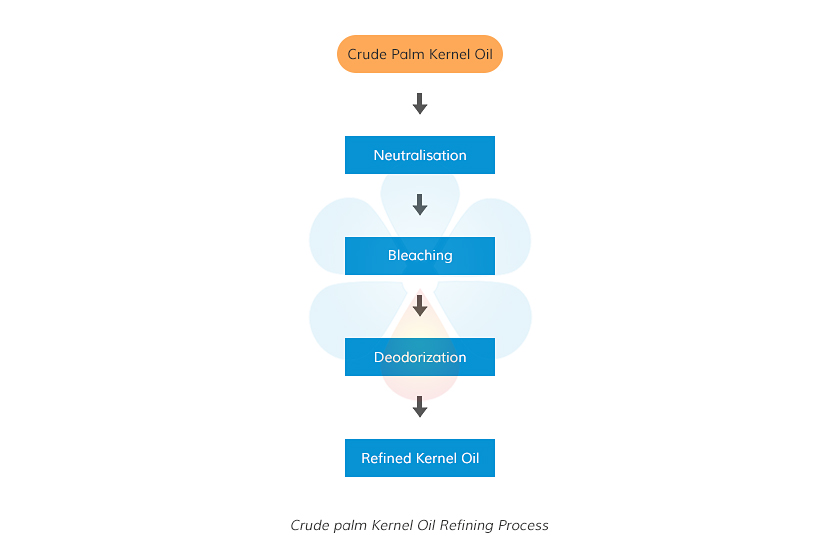 crude-palm-kernel-oil-refining-process.jpg