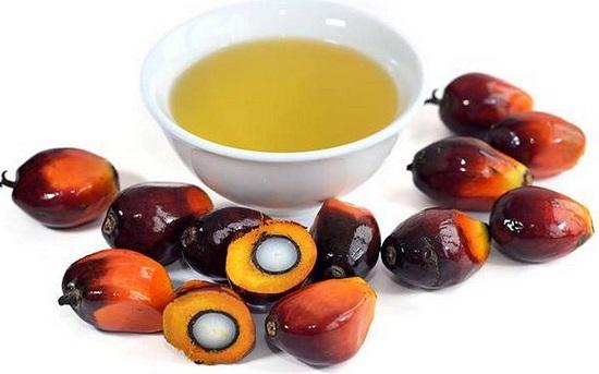 palm-oil.jpg