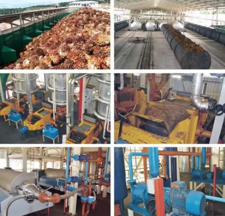 palm-oil-production-process.png