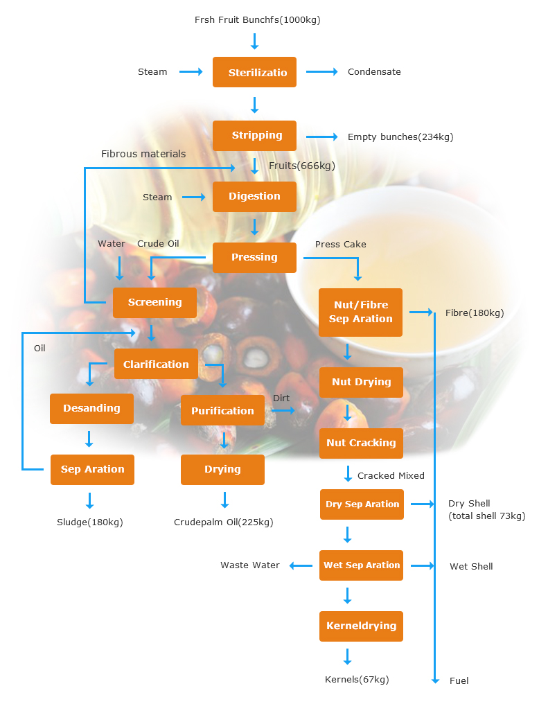 palm-oil-production-process.jpg