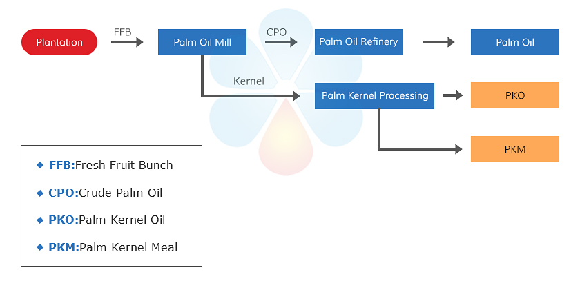 palm-fruit-oil-process.jpg