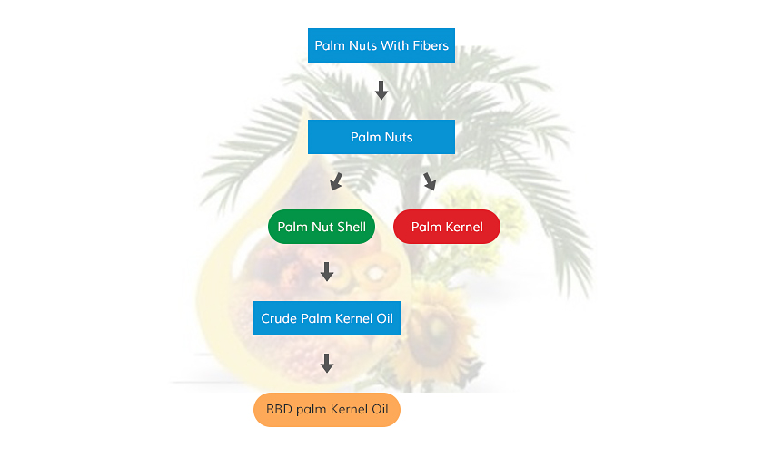 palm-kernel-oil-processing.jpg