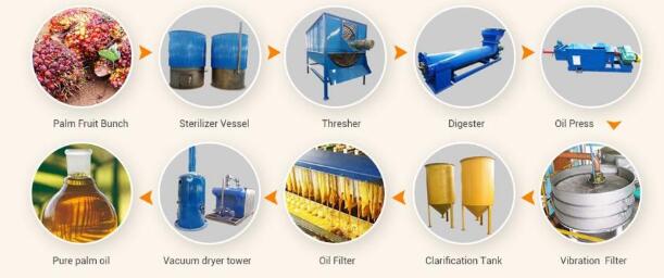 palm-oil-production-process.jpg