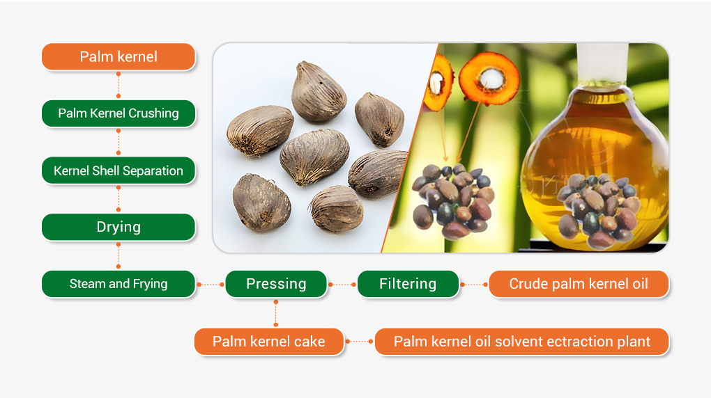 palm-kernel-oil-extraction-process.jpg