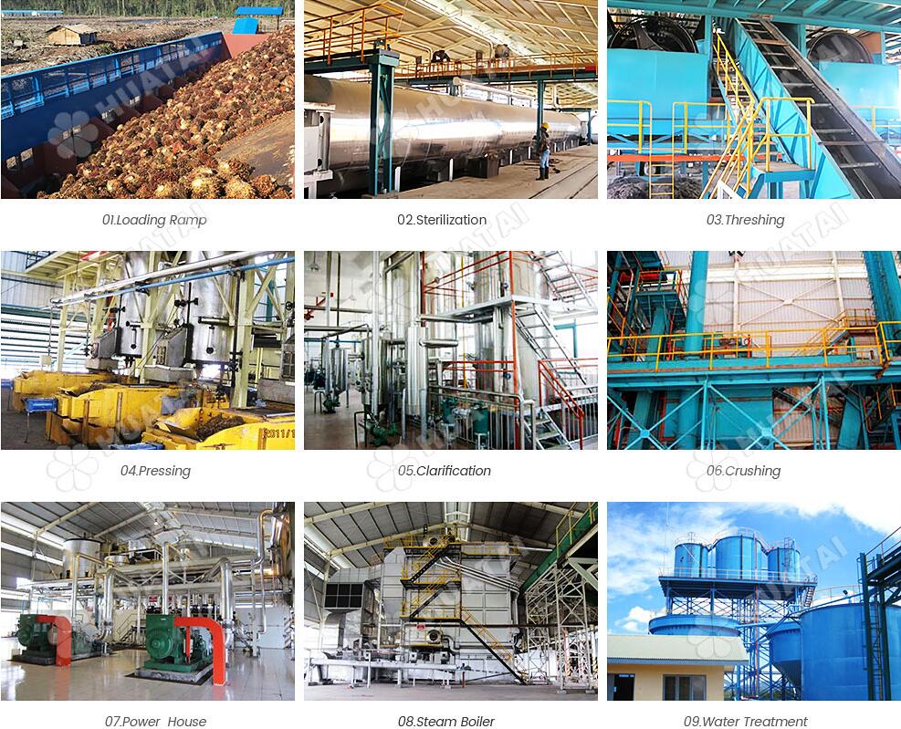 palm-oil-processing-steps.jpg