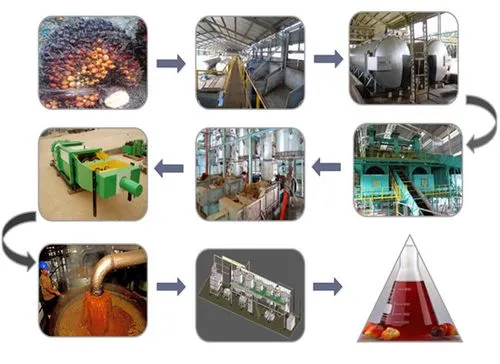 palm-oil-processing-flow.webp