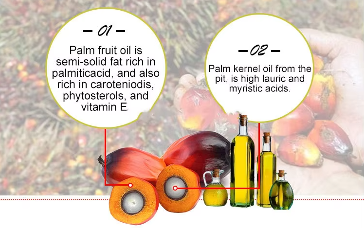 huatai-palm-oil-machine.png