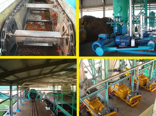 palm-oil-production-process.jpg