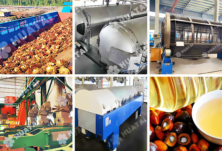 palm-oil-milling-plant-process.jpg