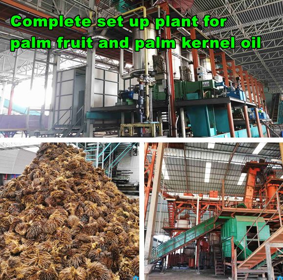 complete-palm-oil-line.jpg