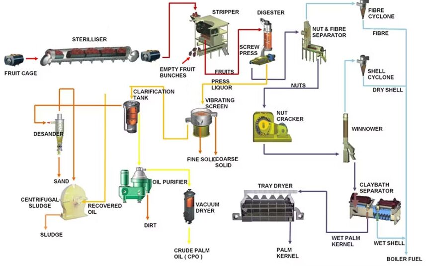 palm-oil-process.jpg