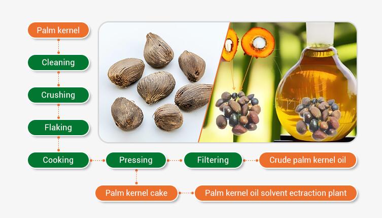 palm-kernel-oil.jpg
